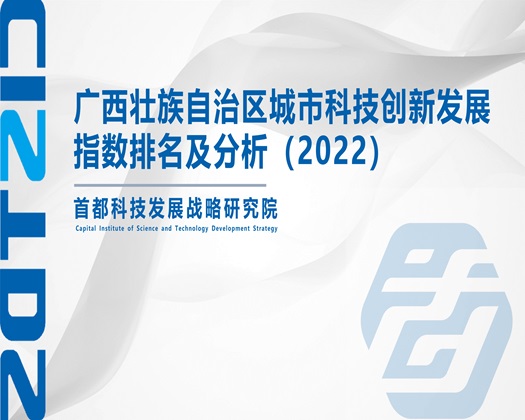 狂干骚逼妞【成果发布】广西壮族自治区城市科技创新发展指数排名及分析（2022）